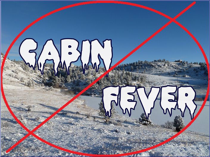 Cabin Fever